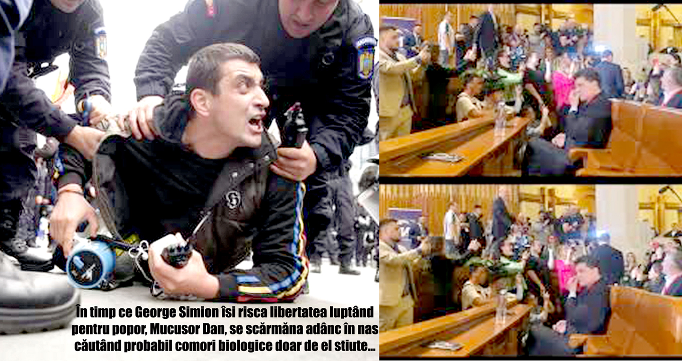 Mai Bine Razvratit Decat Mucusor Adormit 01