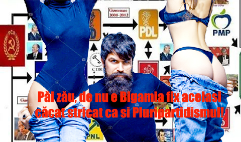 Daca Ingaduiti Pluralism Politic Atunci Ingaduiti Si Bigamia In Romania