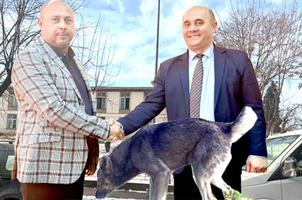 Scnadal Pe Caini Si Curatenie La Dragsani 00