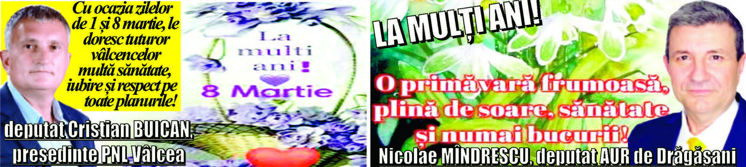 Felicitare Deputati Cristi Buican Pnl Si Nicolae Mindrescu Aur