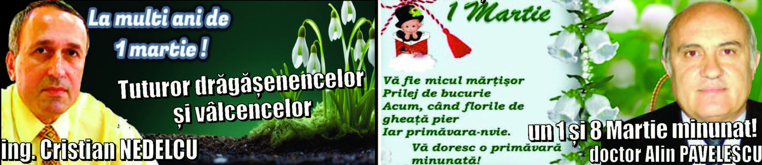 Felicitare Ing Cristian Nedelcu Si Dr AAlin Pavelescu