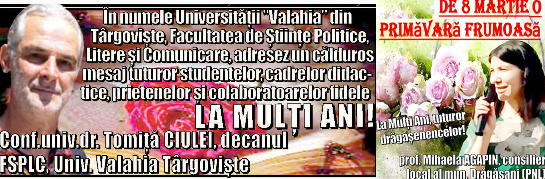 Felicitari Conf Univ Dr Tomita Ciulei Univ Valahia Targoviste Si Consilier Local Al Mun Dragasani Prof Mihaela Agapin