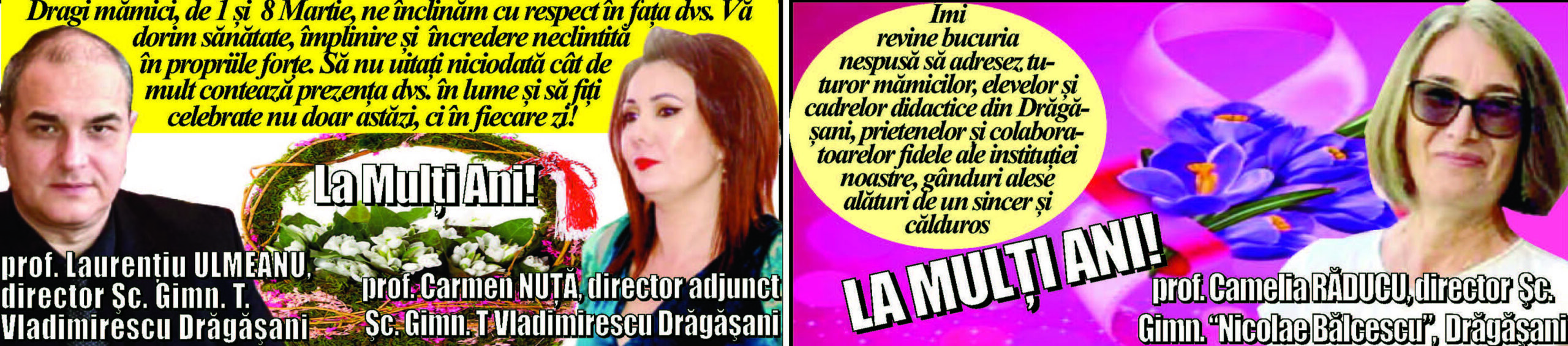 Felicitari Directori Scolari Lauirentiu Ulmeanu Carmen Nuta Si Camelia Raducu