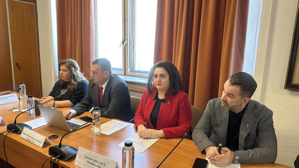Initiativa Legislativa In Favoarea Profesorilor Preuniversitari 00