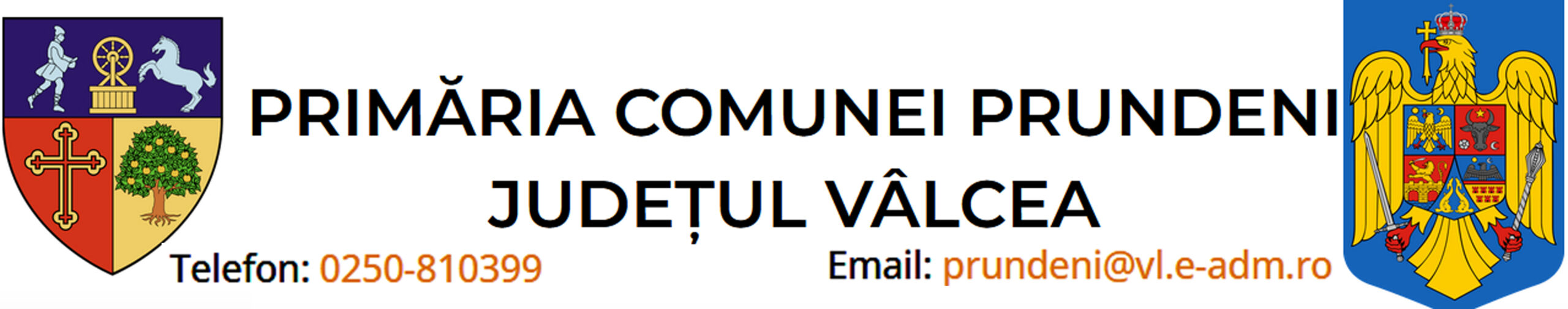 Logo Site Primaria ComuneiPrundeni Judetul Valcea