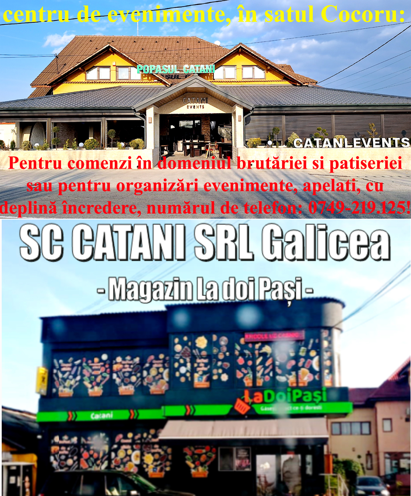 Macheta Publicitara Noua Sc Catani Srl Galicea 01