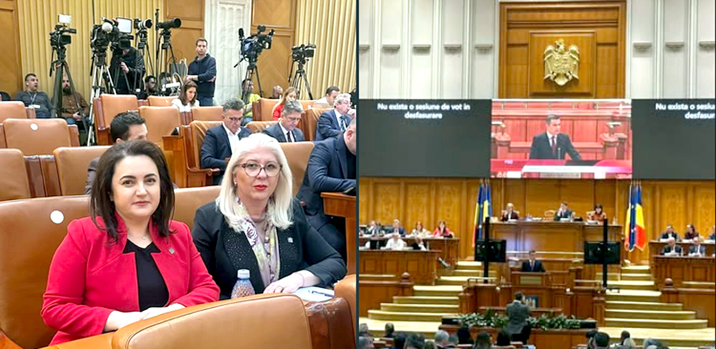 Senatoarea Andra Bica In Sedinta D Eplen Comun A Parlamentului 00