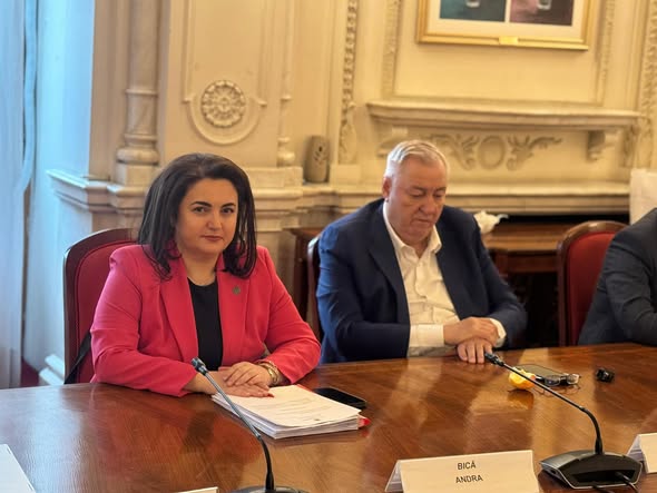 Senatoarea Social Democrata Valceana Andr Abica La Dezbaterile Bugetului Pe Anul 2026 00