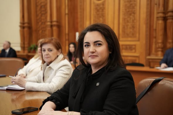 Senator PSD Andra Bica 2026 01
